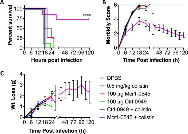 https://cdn.ncbi.nlm.nih.gov/pmc/blobs/9700/5676038/f3c494707177/mbo0051735740004.jpg