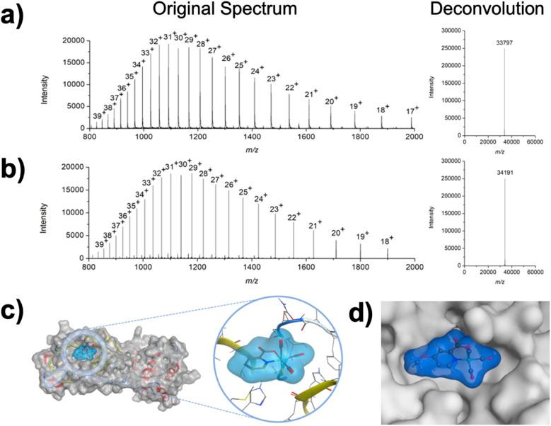 https://cdn.ncbi.nlm.nih.gov/pmc/blobs/9703/9848156/c27f7e0b79e8/d2sc05473f-f3.jpg