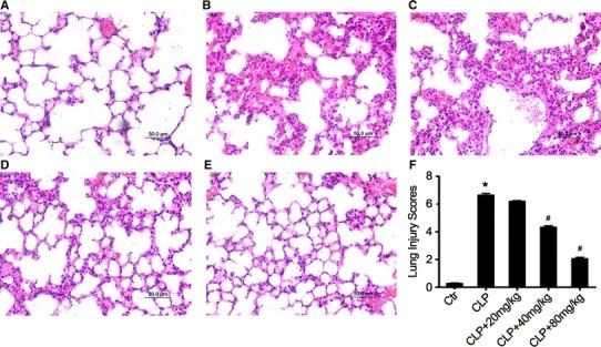 https://cdn.ncbi.nlm.nih.gov/pmc/blobs/9705/7101724/140b993aee5c/12272_2017_991_Fig1_HTML.jpg
