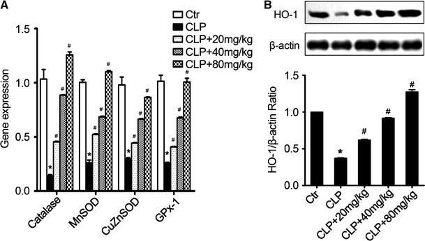 https://cdn.ncbi.nlm.nih.gov/pmc/blobs/9705/7101724/59b5d9c03b3a/12272_2017_991_Fig6_HTML.jpg