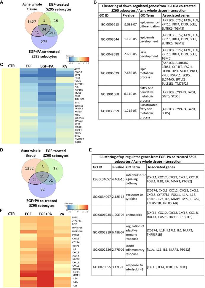 https://cdn.ncbi.nlm.nih.gov/pmc/blobs/9706/8134683/d7da1036076d/fimmu-12-600017-g007.jpg