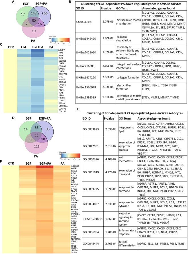 https://cdn.ncbi.nlm.nih.gov/pmc/blobs/9706/8134683/e0ccdadf60ad/fimmu-12-600017-g005.jpg