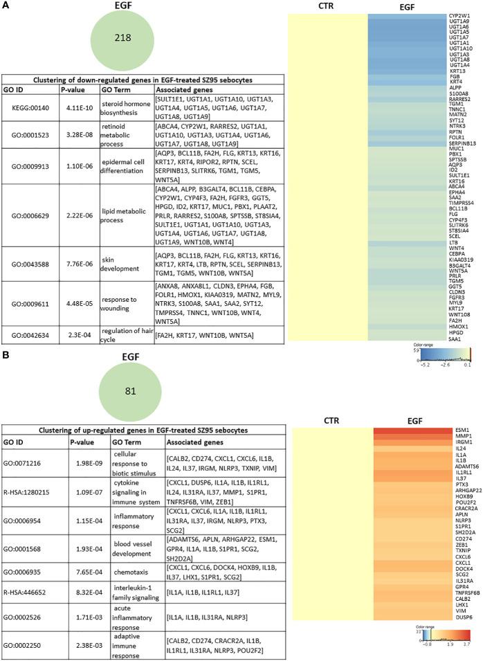 https://cdn.ncbi.nlm.nih.gov/pmc/blobs/9706/8134683/fd8aabaaa5e2/fimmu-12-600017-g002.jpg