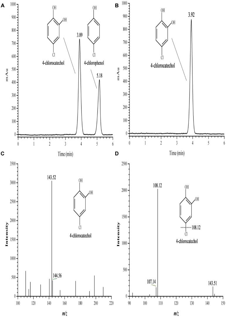 https://cdn.ncbi.nlm.nih.gov/pmc/blobs/9708/6205950/cc8856daf406/fmicb-09-02481-g006.jpg