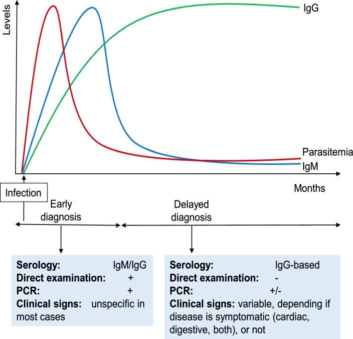 https://cdn.ncbi.nlm.nih.gov/pmc/blobs/970a/11065921/3b10b9453ed8/726_2024_3394_Fig1_HTML.jpg