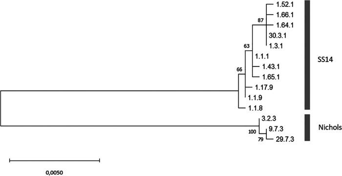 https://cdn.ncbi.nlm.nih.gov/pmc/blobs/970b/9430645/5e765e36b63f/spectrum.02482-21-f002.jpg
