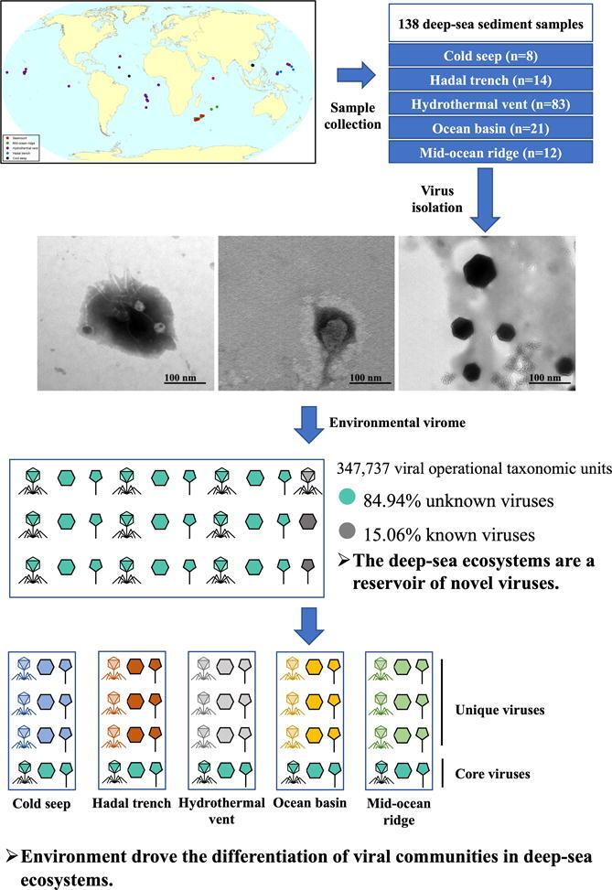 https://cdn.ncbi.nlm.nih.gov/pmc/blobs/970c/10918349/2c8c06c8aa3b/ga1.jpg