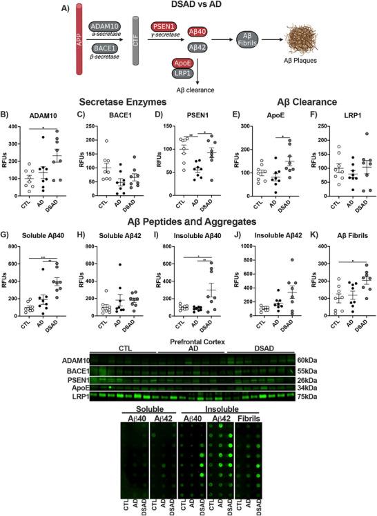 https://cdn.ncbi.nlm.nih.gov/pmc/blobs/970c/12177674/197322c1ef37/ALZ-21-e70322-g002.jpg