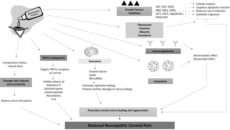 https://cdn.ncbi.nlm.nih.gov/pmc/blobs/970d/11296151/97b773038f41/jop.2023.0155_figure3.jpg