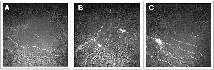 https://cdn.ncbi.nlm.nih.gov/pmc/blobs/970d/11296151/e2e50d6c4a6a/jop.2023.0155_figure1.jpg