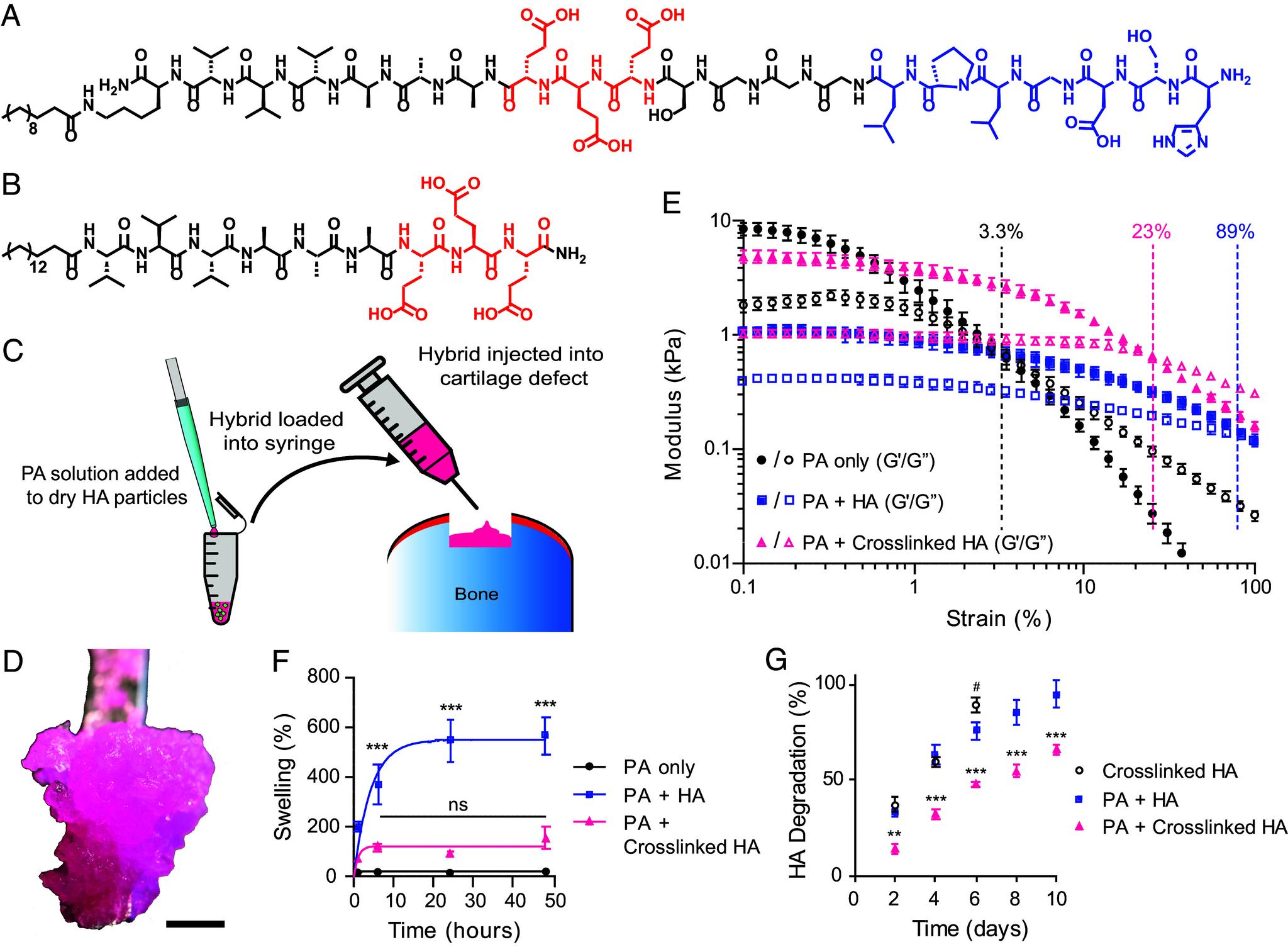 https://cdn.ncbi.nlm.nih.gov/pmc/blobs/970e/11331086/90d8d4e1d1f9/pnas.2405454121fig01.jpg
