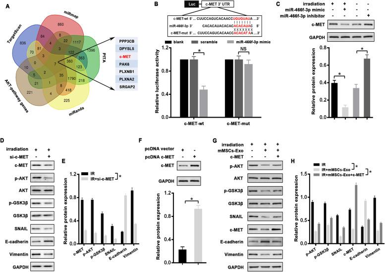 https://cdn.ncbi.nlm.nih.gov/pmc/blobs/970e/8988379/4f33b86c6398/13046_2022_2351_Fig6_HTML.jpg