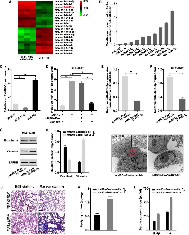 https://cdn.ncbi.nlm.nih.gov/pmc/blobs/970e/8988379/ce52fc7377d0/13046_2022_2351_Fig4_HTML.jpg