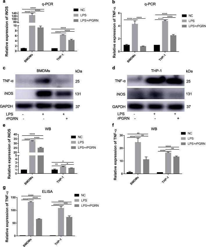 https://cdn.ncbi.nlm.nih.gov/pmc/blobs/9710/7275413/baf8745396a0/12865_2020_355_Fig7_HTML.jpg