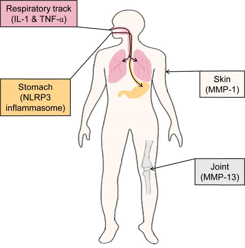 https://cdn.ncbi.nlm.nih.gov/pmc/blobs/9710/8902448/e9e8d2c1b1a6/bt-30-2-117-f3.jpg