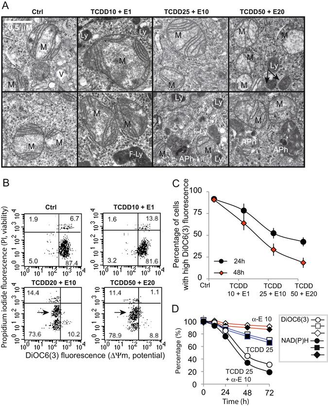 https://cdn.ncbi.nlm.nih.gov/pmc/blobs/9713/5498599/6d589b851ed4/41598_2017_4654_Fig4_HTML.jpg