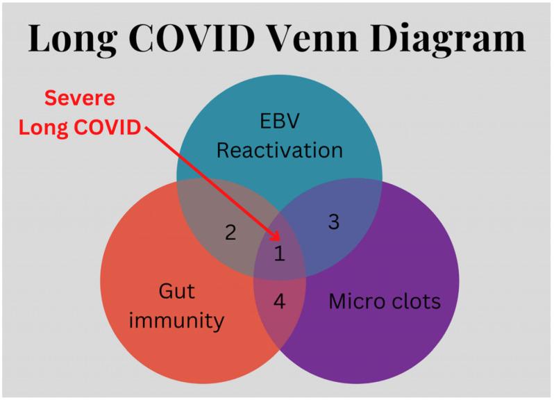 https://cdn.ncbi.nlm.nih.gov/pmc/blobs/9714/11360392/7139ea45963e/viruses-16-01266-g002.jpg