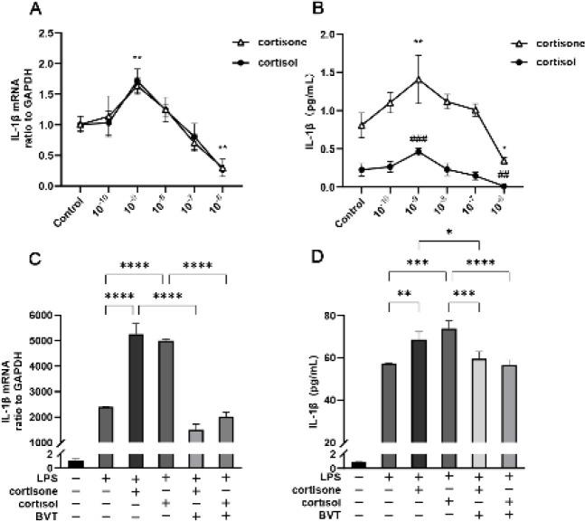 https://cdn.ncbi.nlm.nih.gov/pmc/blobs/9714/9922366/bb99a2670d19/IJBMS-26-374-g003.jpg