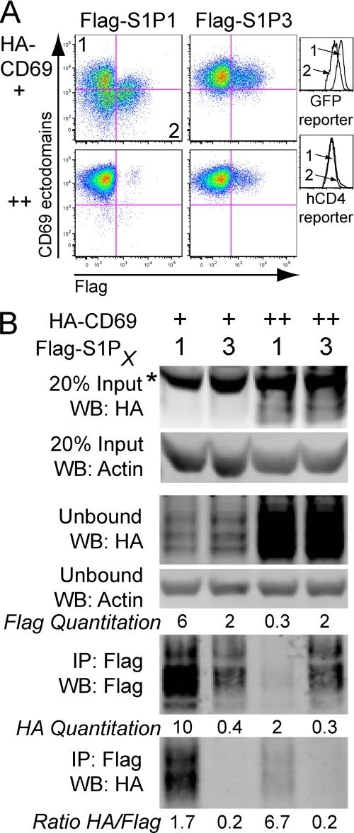https://cdn.ncbi.nlm.nih.gov/pmc/blobs/9716/2903414/519605eff888/zbc0311024270008.jpg