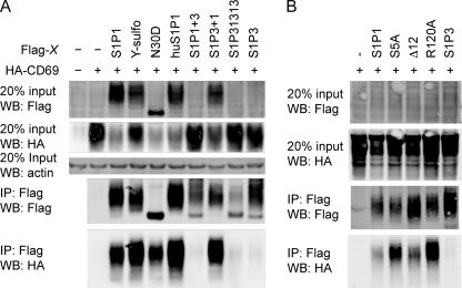 https://cdn.ncbi.nlm.nih.gov/pmc/blobs/9716/2903414/a806ca1e261c/zbc0311024270005.jpg
