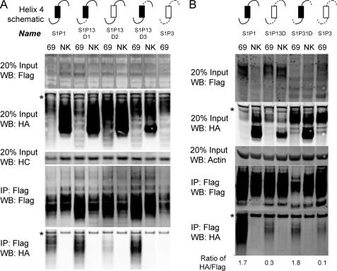 https://cdn.ncbi.nlm.nih.gov/pmc/blobs/9716/2903414/bdcf9f822564/zbc0311024270007.jpg