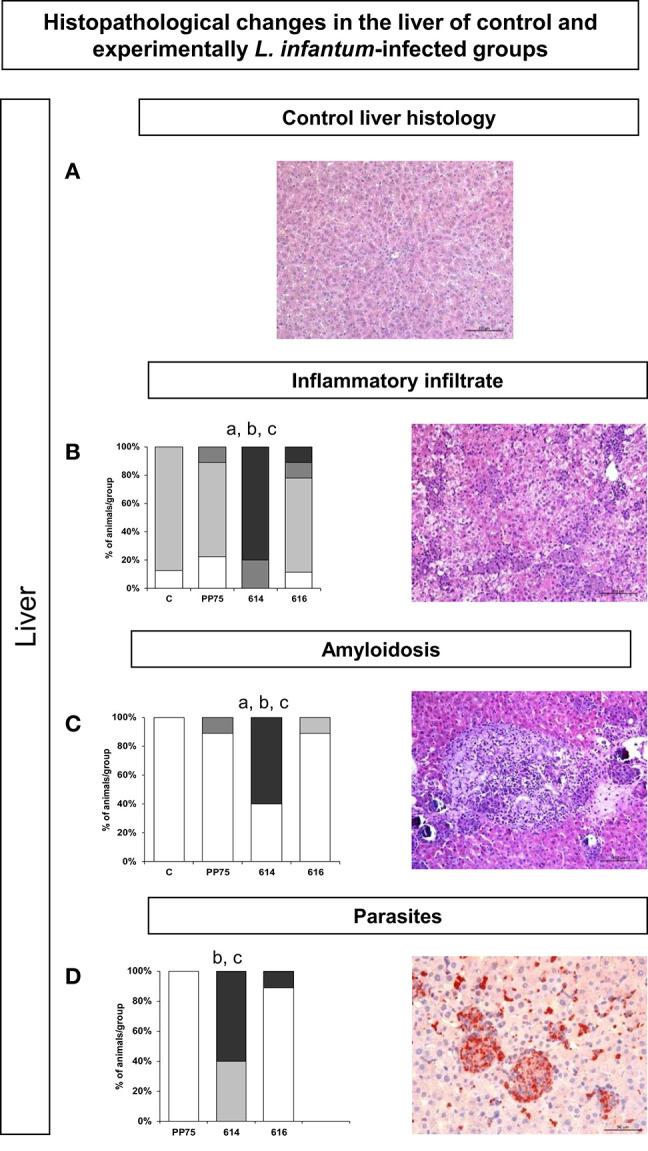 https://cdn.ncbi.nlm.nih.gov/pmc/blobs/9716/7483547/59ba7549d81a/fmed-07-00496-g0004.jpg