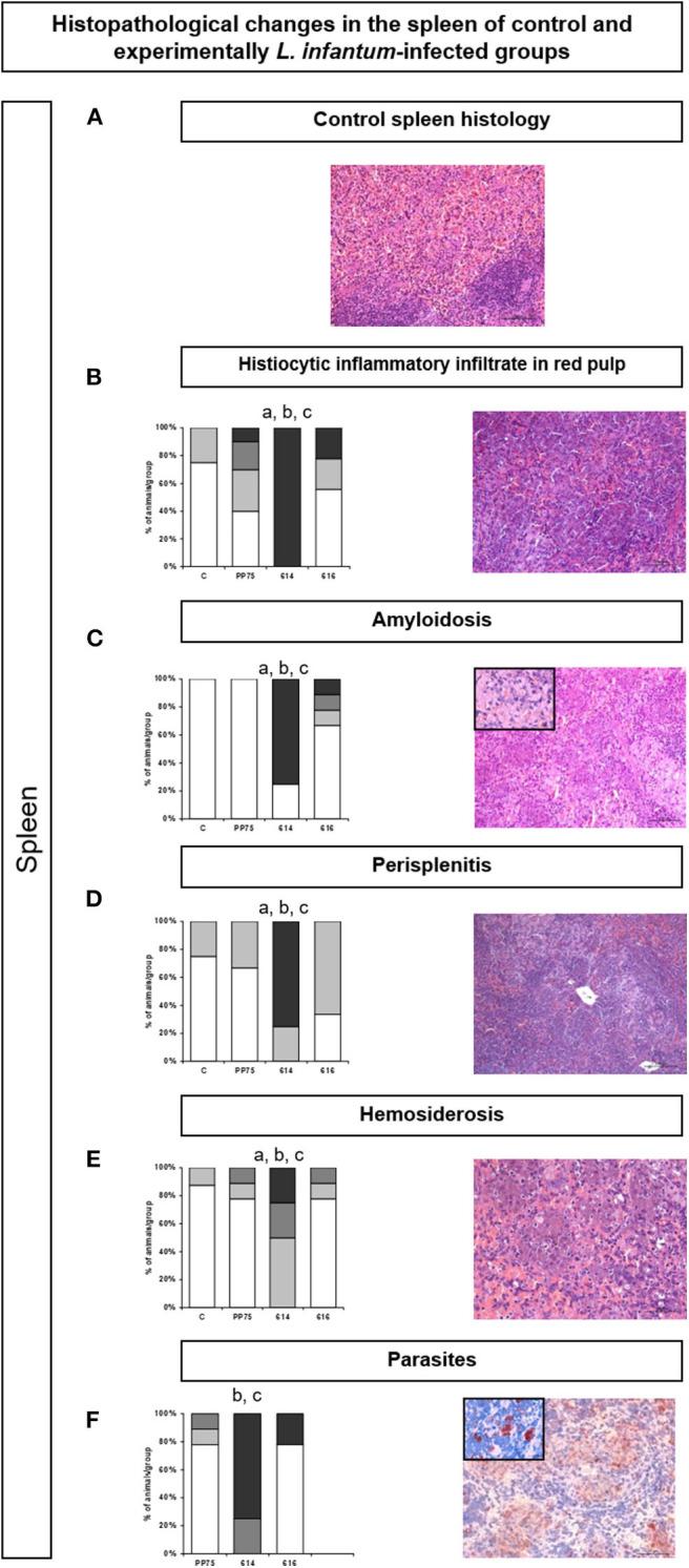 https://cdn.ncbi.nlm.nih.gov/pmc/blobs/9716/7483547/8c82ec38058a/fmed-07-00496-g0005.jpg