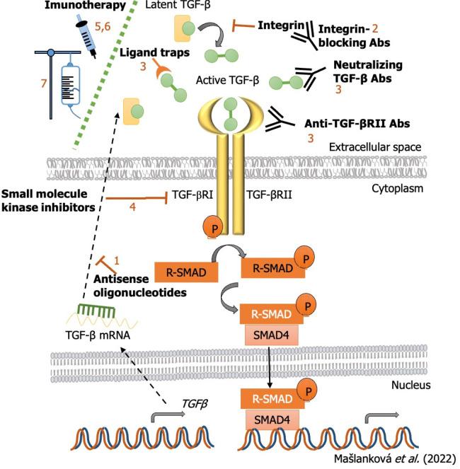 https://cdn.ncbi.nlm.nih.gov/pmc/blobs/9716/9476856/617012d5f238/WJG-28-4744-g005.jpg