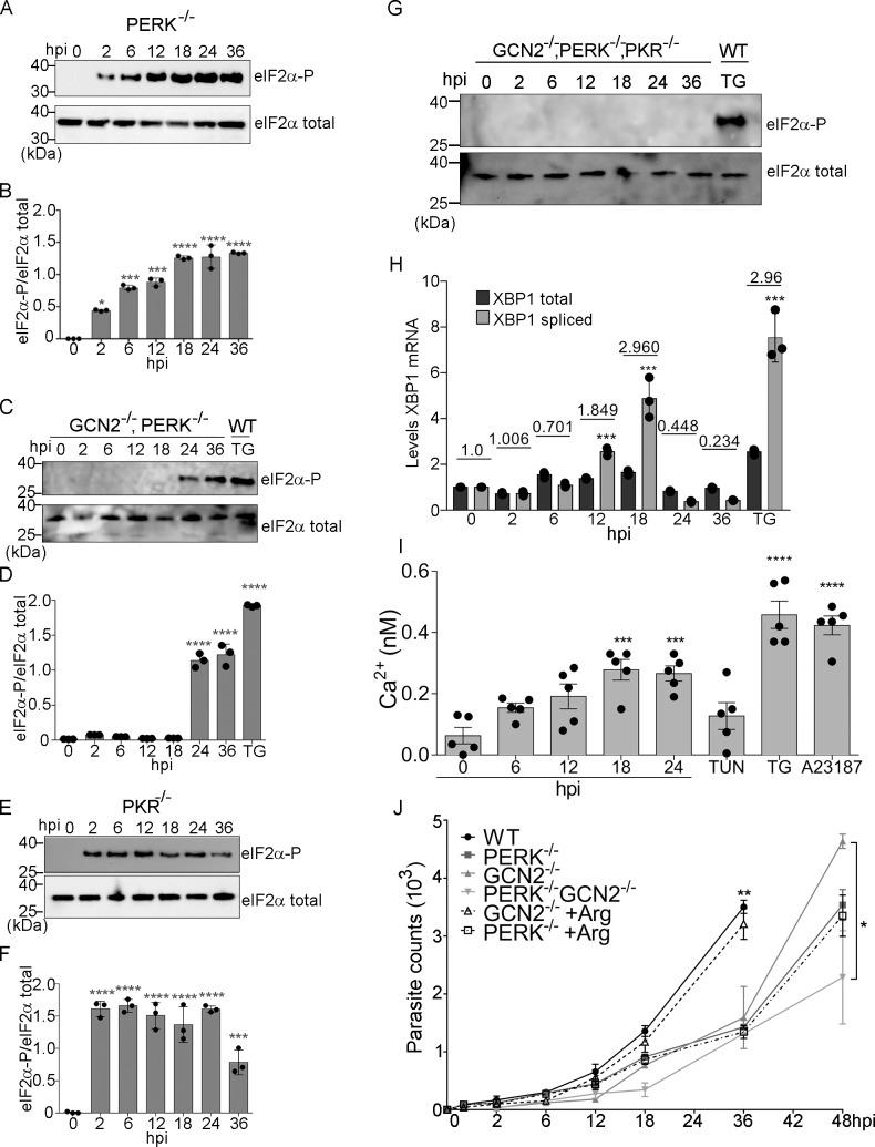 https://cdn.ncbi.nlm.nih.gov/pmc/blobs/9717/6564765/9caa83cdec34/ppat.1007746.g002.jpg
