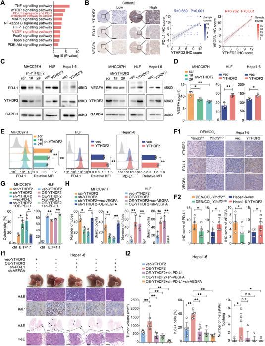 https://cdn.ncbi.nlm.nih.gov/pmc/blobs/9718/10987122/4f22cd2c4439/ADVS-11-2307242-g003.jpg