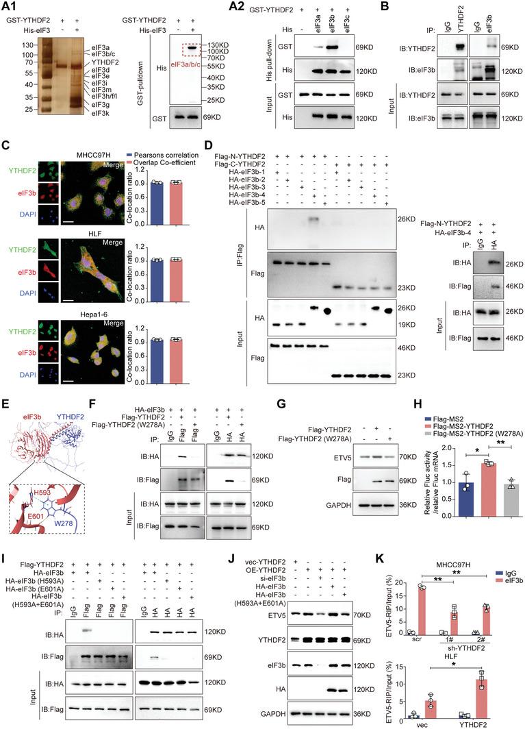 https://cdn.ncbi.nlm.nih.gov/pmc/blobs/9718/10987122/698a88b3b546/ADVS-11-2307242-g001.jpg