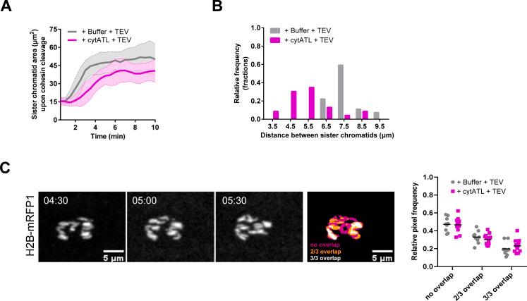 https://cdn.ncbi.nlm.nih.gov/pmc/blobs/9719/9671068/fdc2f38a1458/LSA-2022-01540_FigS7.jpg