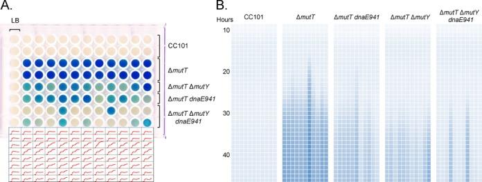 https://cdn.ncbi.nlm.nih.gov/pmc/blobs/971a/4231768/e594a8319a45/gku912fig5.jpg