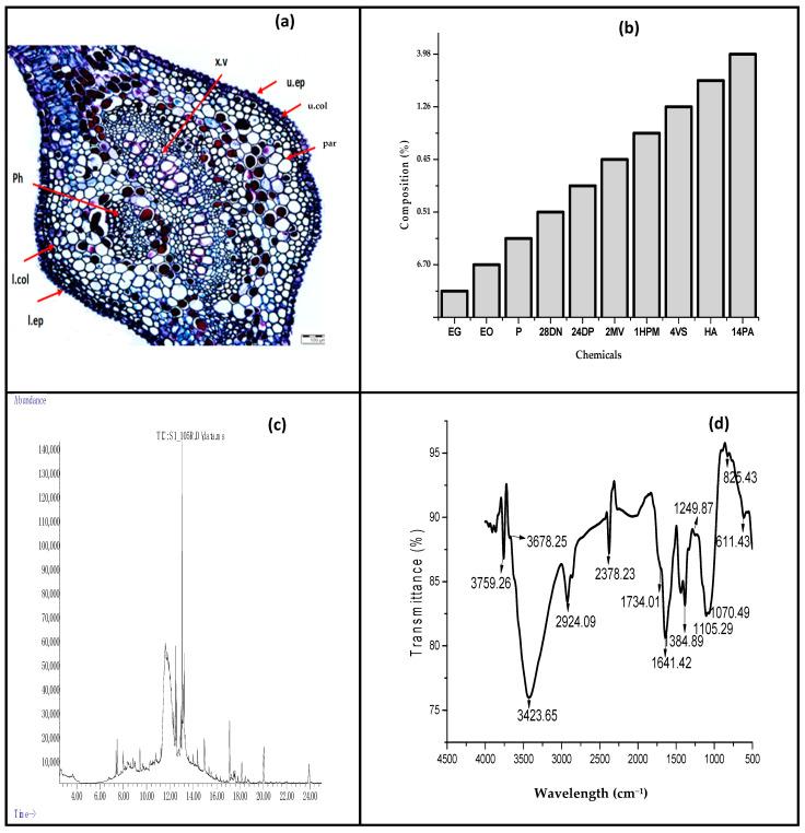 https://cdn.ncbi.nlm.nih.gov/pmc/blobs/971b/8161299/46bb582133a9/polymers-13-01664-g001.jpg