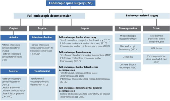 https://cdn.ncbi.nlm.nih.gov/pmc/blobs/971c/7263337/e03a0daa21f3/10.1177_2192568219887364-fig1.jpg