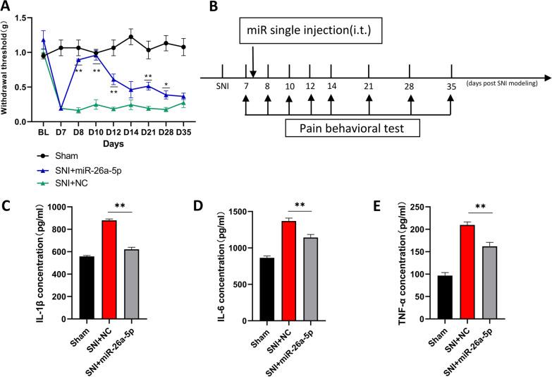 https://cdn.ncbi.nlm.nih.gov/pmc/blobs/971d/9450435/3dfc8ccf22c7/12974_2022_2578_Fig4_HTML.jpg