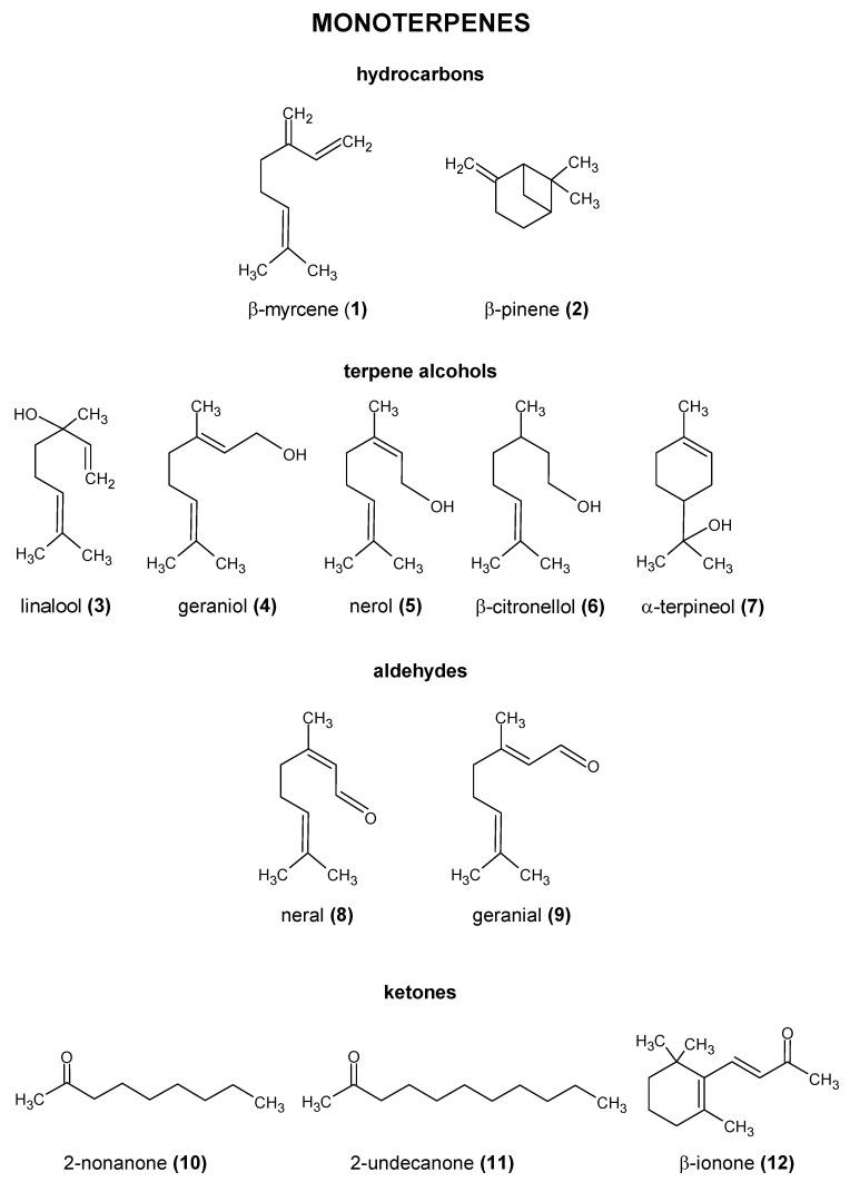 https://cdn.ncbi.nlm.nih.gov/pmc/blobs/971e/10534726/972dcad19199/molecules-28-06648-g002.jpg