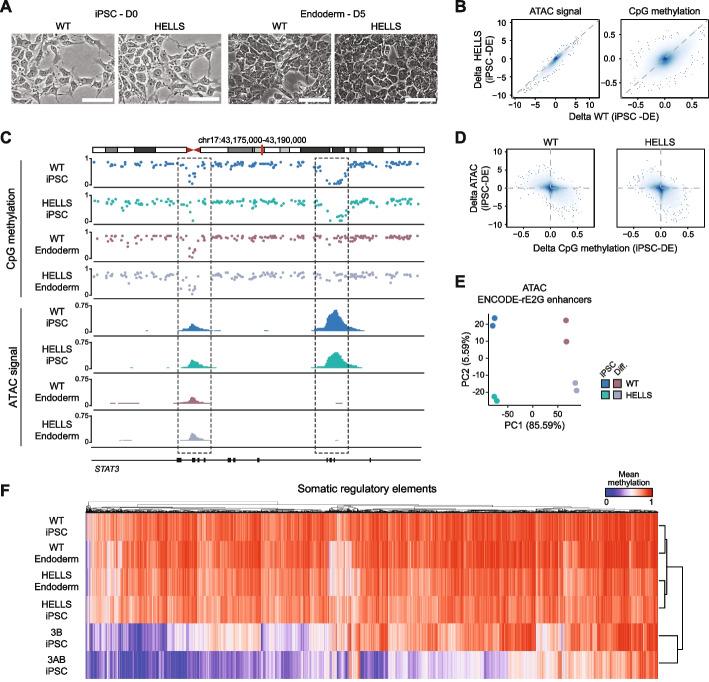 https://cdn.ncbi.nlm.nih.gov/pmc/blobs/9721/12273238/0e6884d5a456/13059_2025_3681_Fig2_HTML.jpg