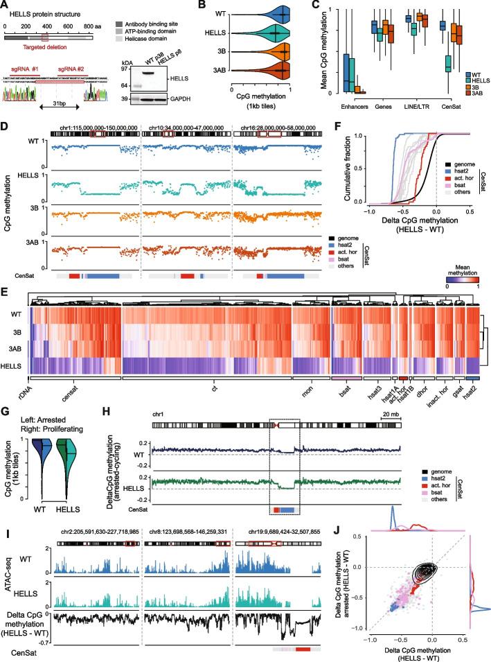 https://cdn.ncbi.nlm.nih.gov/pmc/blobs/9721/12273238/b0c7e36dfaa5/13059_2025_3681_Fig1_HTML.jpg