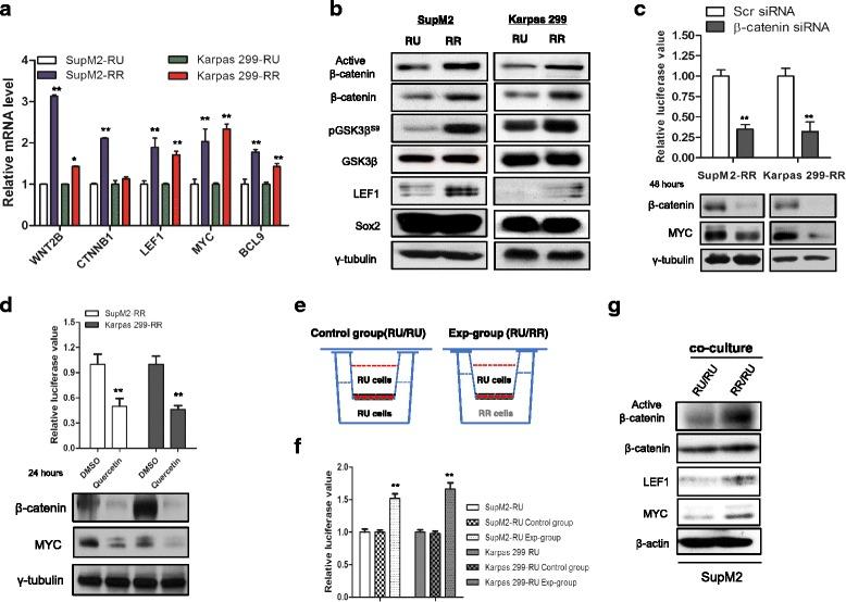 https://cdn.ncbi.nlm.nih.gov/pmc/blobs/9721/5100098/c15448bb0ddb/13045_2016_349_Fig4_HTML.jpg