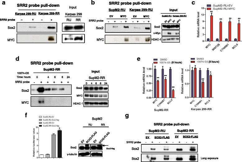 https://cdn.ncbi.nlm.nih.gov/pmc/blobs/9721/5100098/d741b8406242/13045_2016_349_Fig3_HTML.jpg