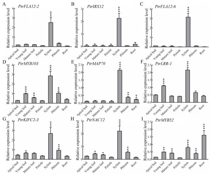 https://cdn.ncbi.nlm.nih.gov/pmc/blobs/9723/12252207/9b6e3a4bcd73/plants-14-01948-g003.jpg