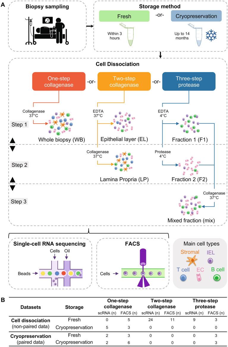 https://cdn.ncbi.nlm.nih.gov/pmc/blobs/9723/9197976/302c1f9ccdef/41598_2022_13812_Fig1_HTML.jpg