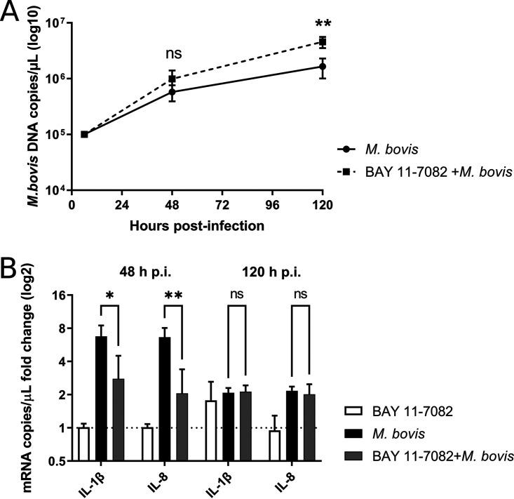 https://cdn.ncbi.nlm.nih.gov/pmc/blobs/9726/9972951/80a95621f7f7/jvi.01423-22-f008.jpg