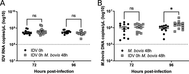https://cdn.ncbi.nlm.nih.gov/pmc/blobs/9726/9972951/8c34db6608cc/jvi.01423-22-f005.jpg