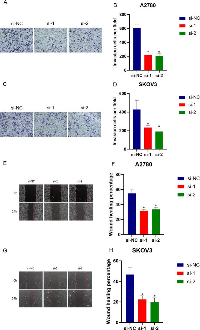 https://cdn.ncbi.nlm.nih.gov/pmc/blobs/9727/11893572/658ec827a976/fimmu-16-1555782-g007.jpg