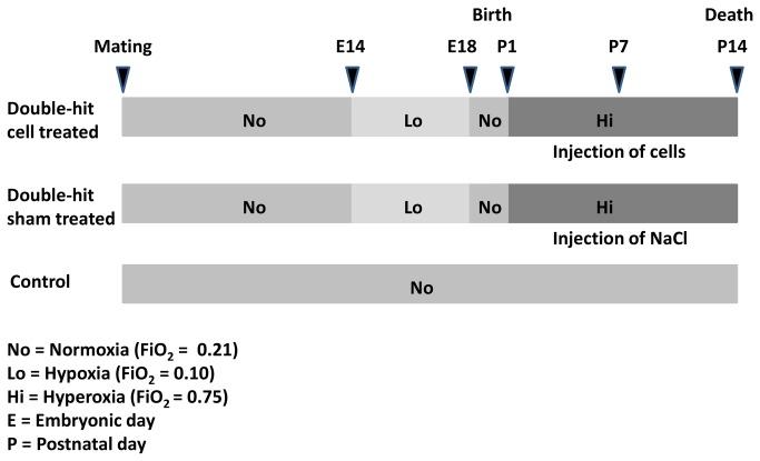 https://cdn.ncbi.nlm.nih.gov/pmc/blobs/9729/3778007/45548ce4d82c/pone.0074740.g001.jpg
