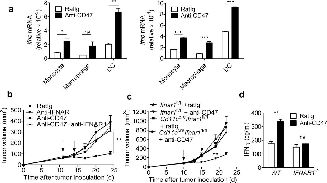 https://cdn.ncbi.nlm.nih.gov/pmc/blobs/9729/4598283/197907fb74ae/nihms710815f4.jpg