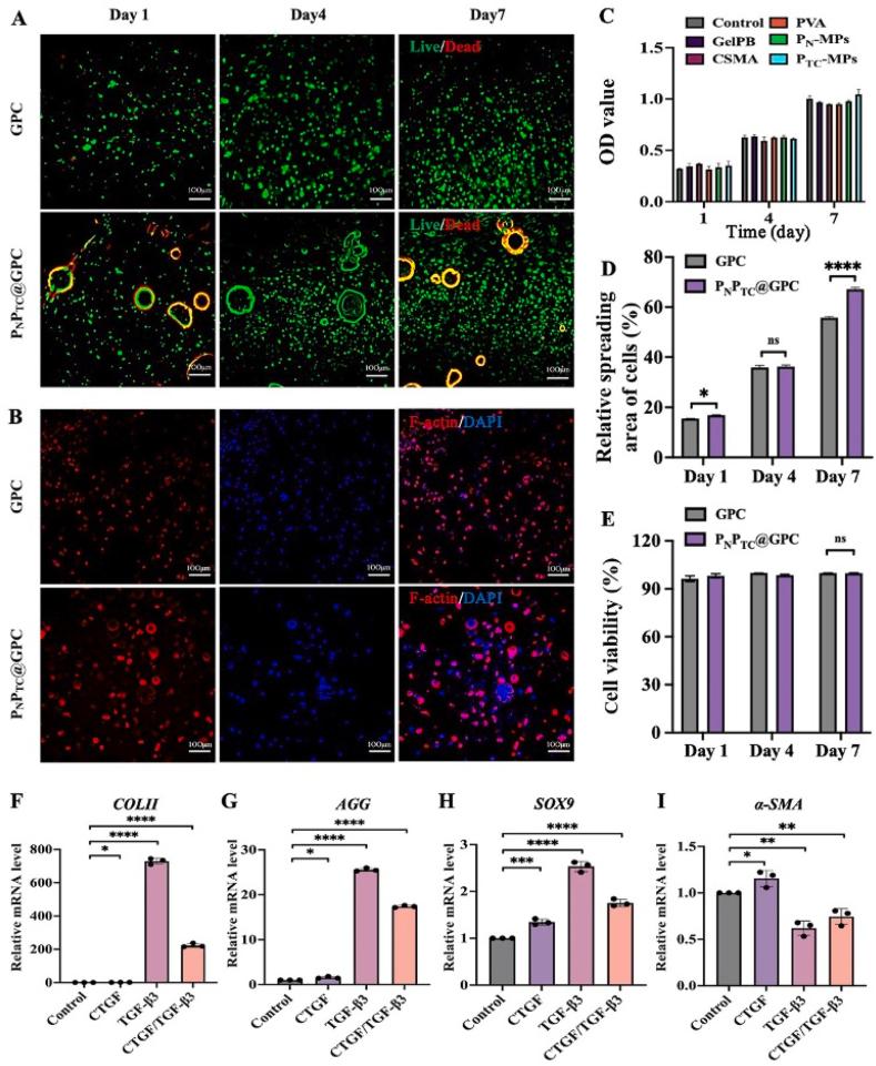 https://cdn.ncbi.nlm.nih.gov/pmc/blobs/972a/11998115/81c9ba7be6a1/gr4.jpg
