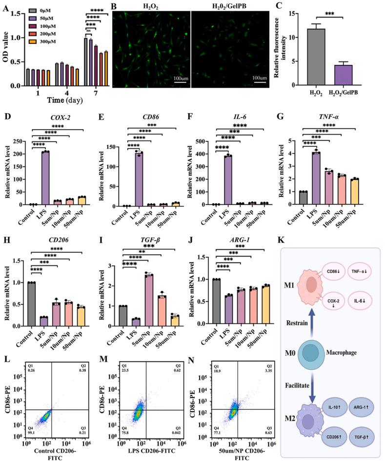 https://cdn.ncbi.nlm.nih.gov/pmc/blobs/972a/11998115/a36e7cbbea6b/gr5.jpg